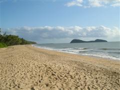 Palm Cove