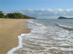 Palm Cove