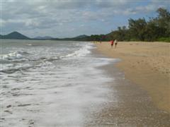 Palm Cove