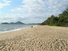 Palm Cove