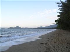 Palm Cove