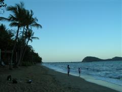 Palm Cove