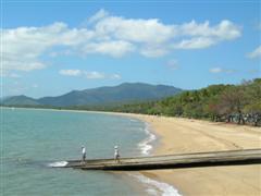 Palm Cove