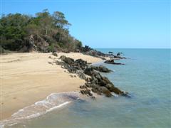 Palm Cove