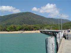 Palm Cove