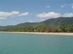 Palm Cove