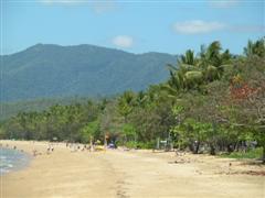 Palm Cove