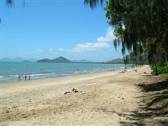 Palm Cove