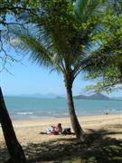 Palm Cove