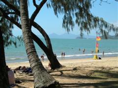 Palm Cove