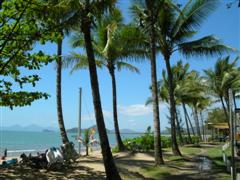 Palm Cove