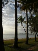 Palm Cove