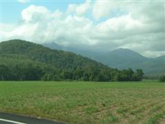 Canefields & Wooroonooran Nat Park