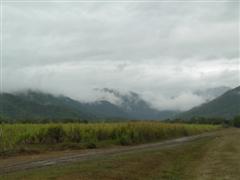 Captain Cook Hwy