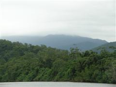 Daintree River