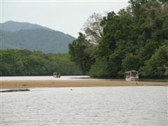 Daintree River