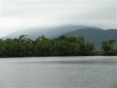 Daintree River