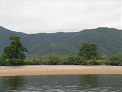 Daintree River