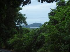 Daintree drive