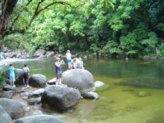 Mossman Gorge