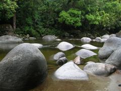 Mossman Gorge