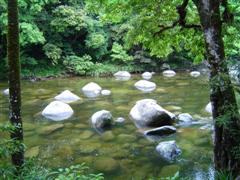 Mossman Gorge