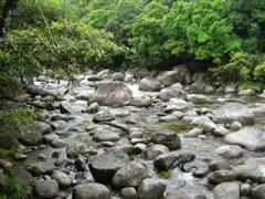 Mossman Gorge