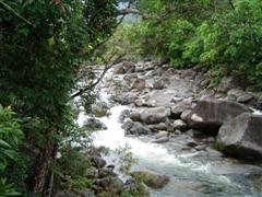 Mossman Gorge