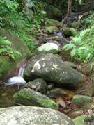 Mossman Gorge