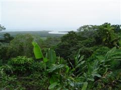 Mt Alexandra Lookout