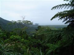 Mt Alexandra Lookout