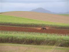 At work on the cane fields