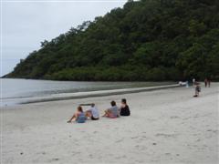 Cape Tribulation