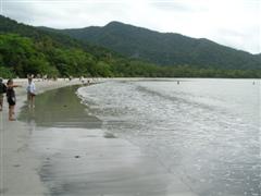 Cape Tribulation