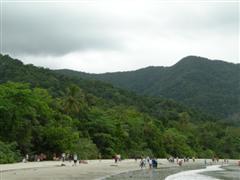 Cape Tribulation